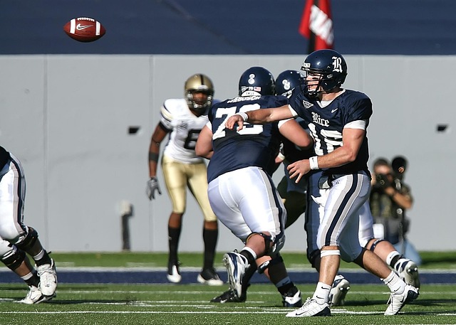 帕尔默用他 帕尔默用他